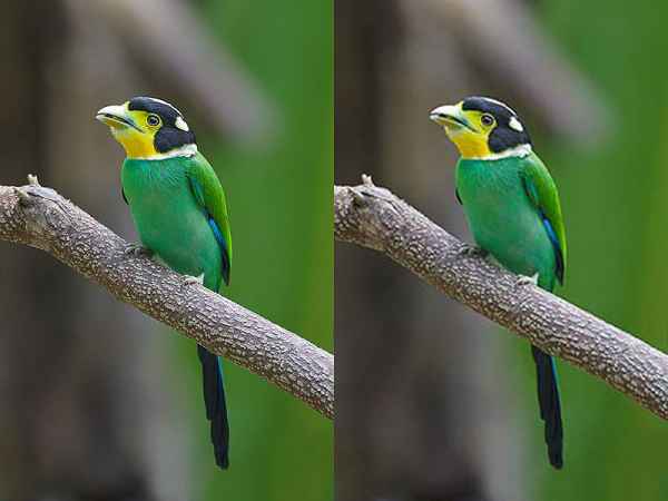 జెపిఈజి ( JPEG) 