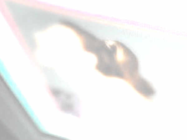 రాయడానికి కూడా చేతులు రాని పదాలను ఈ సెర్చ్‌లలో 