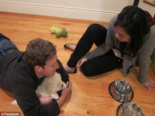 జుకర్ బర్గ్ కు కుక్కపిల్లలన్నా చిన్న పిల్లలన్నా