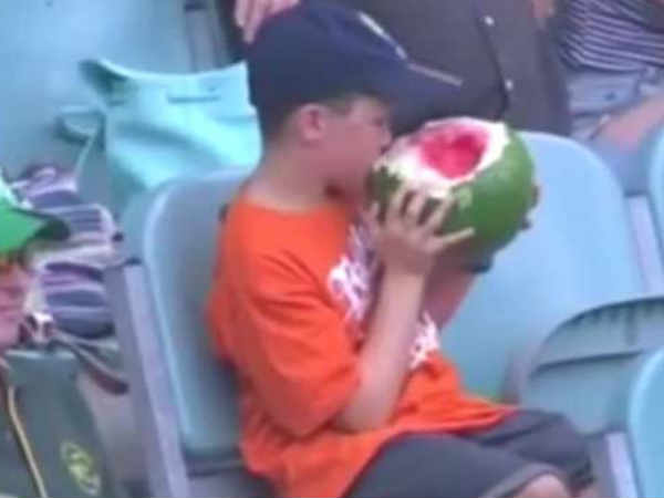 అతడిని చూడండి తొక్కతో సహా పుచ్చకాయ 