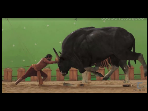 భల్లాలదేవుడు బుల్ ని తాకే సీన్