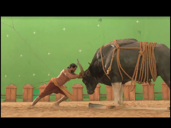 భల్లాలదేవుడు బుల్ ని వెనుకకు నెడుతున్న సీన్ ( మేకింగ్ )