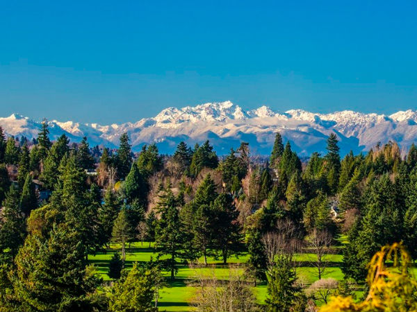 ఈ ఇంటిపై నుంచి చూస్తే వాషింగ్టన్ లేక్