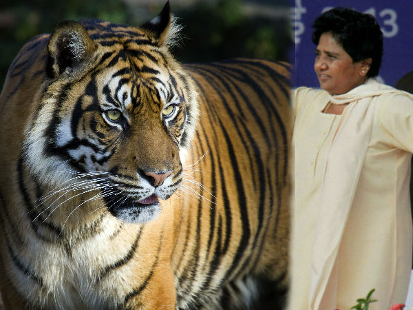 ఏది ఏమైనా అత్యుత్సాహంతో