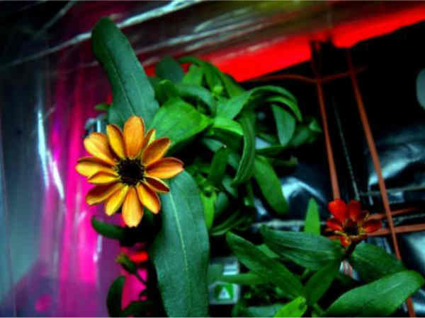 వందలమంది శాస్ర్తవేత్తలు..భూమ్మీద కొన్నేళ్