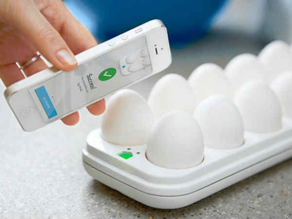 స్మార్ట్ ఎగ్