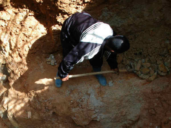 గిజ్‌బాట్ పేజీని లైక్ చేయండి 