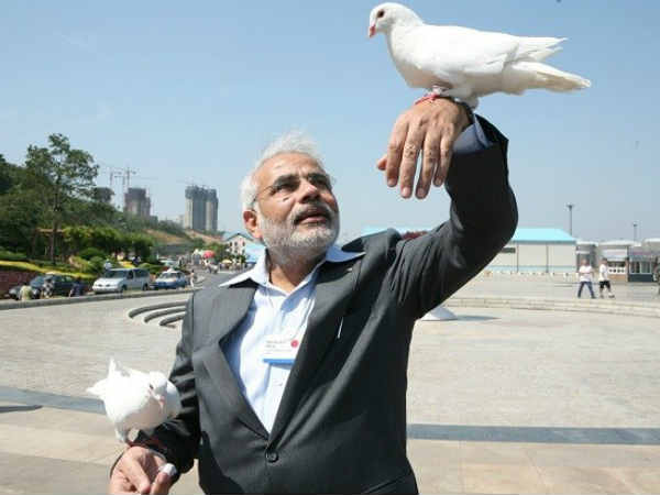 శాంతి కపోతాలకు రారాజు