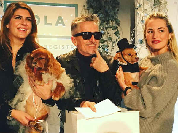 కుక్కలకోసం ప్రత్యేకంగా ఉండే 