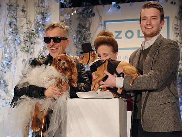 అయితే ఈ హంగామా అంతా 