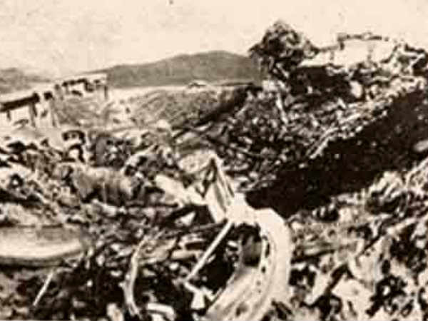 బోస్‌తో పాటు విమానప్రమాదంలో 