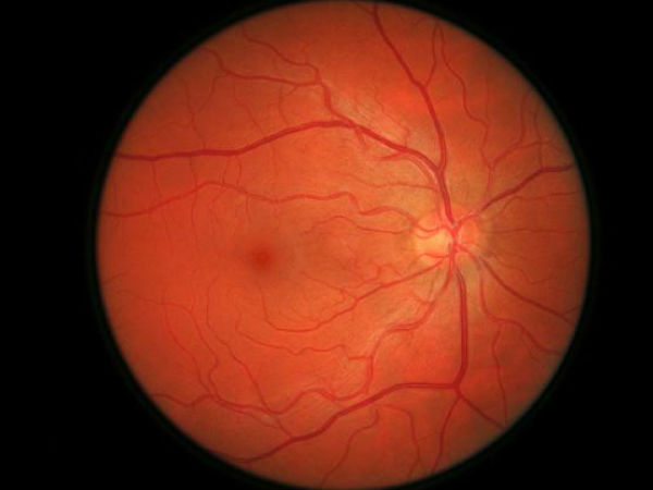 ఫోన్ గురించి భయానక వాస్తవాలు