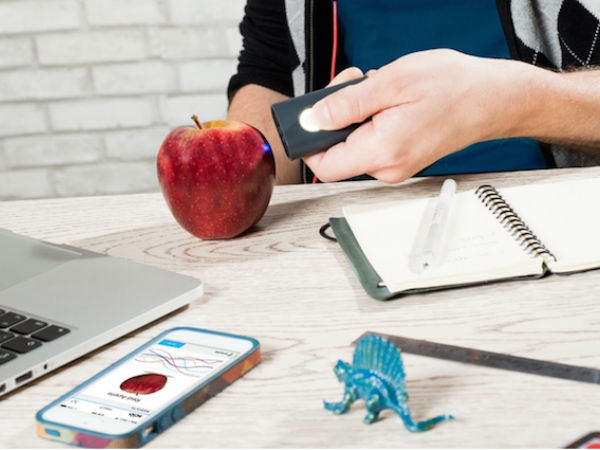 ఆహారం మంచిదో కాదో చిటికెలో చెప్పేస్తుంది