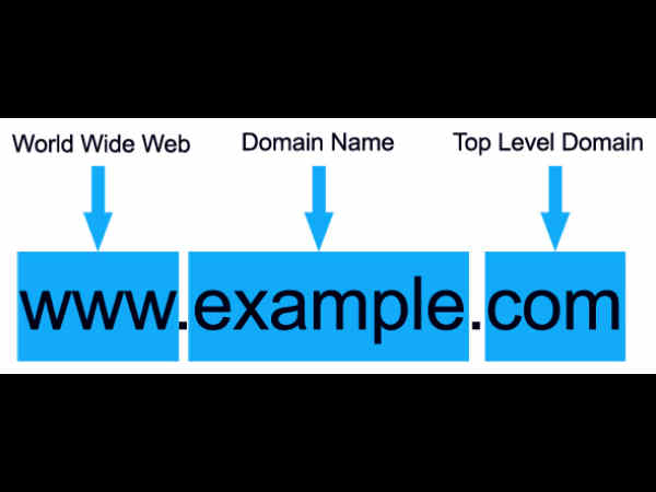 టాప్ లెవల్ డొమైన్(Top Level Domain)