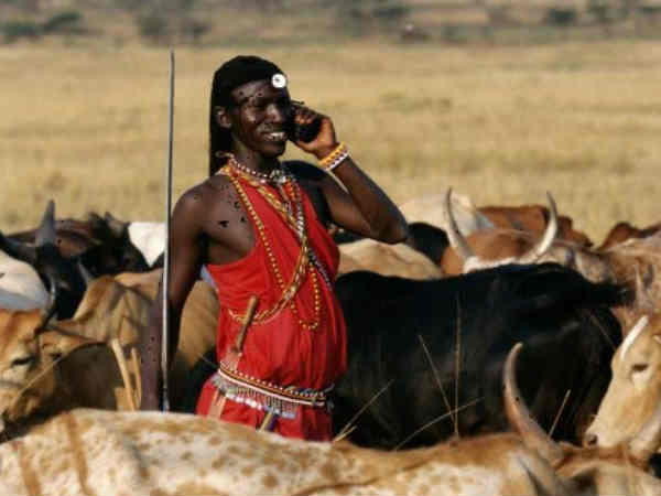 మొబైల్ ఫోన్ రేడియేషన్ ద్వారా