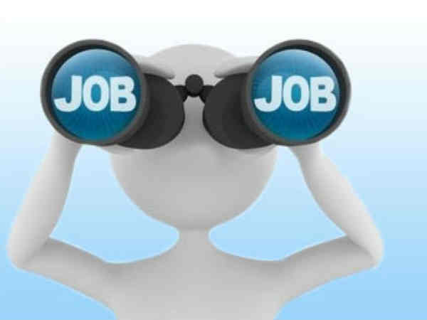 ప్రపంచంలో దీనిని మించిన ఉద్యోగమే లేదట