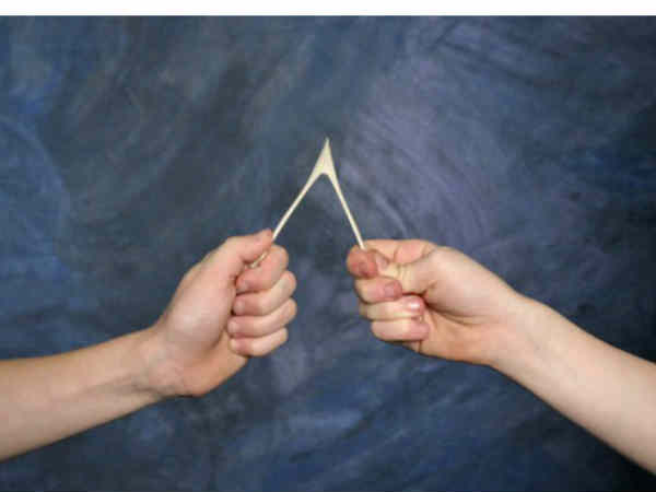 ప్లాస్టిక్ విష్బోన్ ( Plastic Wishbone)