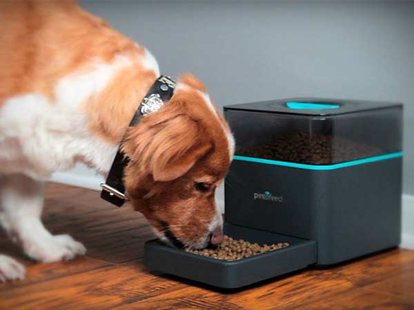 10 కూలెస్ట్ స్మార్ట్ హోమ్ గాడ్జెట్స్