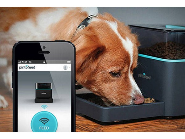 మీ స్మార్ట్‌ఫోన్‌ ప్రయోగాలకు పుట్టిల్లు