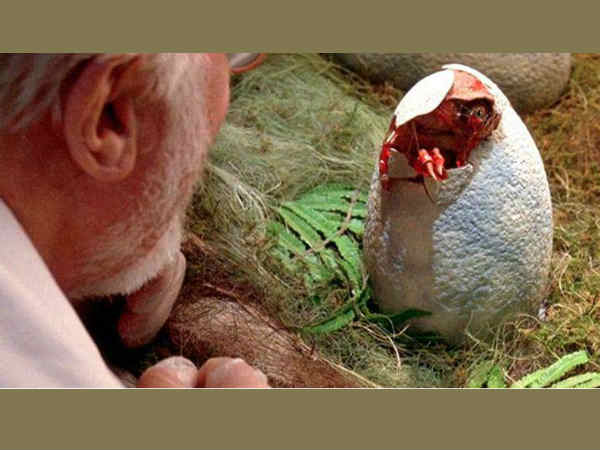 Dinosaur Legs In Chicken Embryos