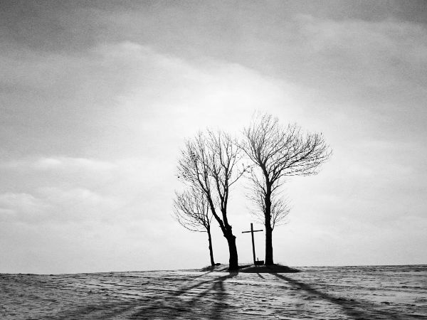 సోనీ వరల్డ్ ఫోటోగ్రఫీ అవార్డ్స్‌.. బెస్ట్ ఫోటోలు