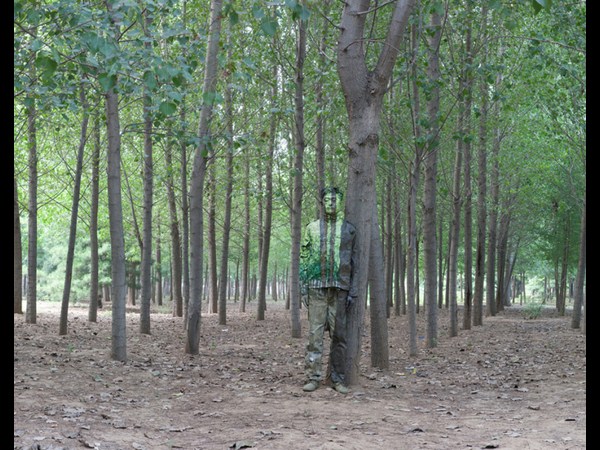  సోషల్ మీడియా వైరల్