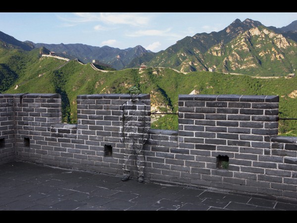  సోషల్ మీడియా వైరల్