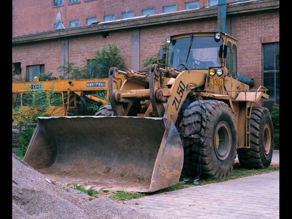  సోషల్ మీడియా వైరల్