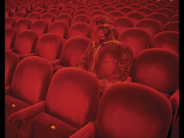  సోషల్ మీడియా వైరల్