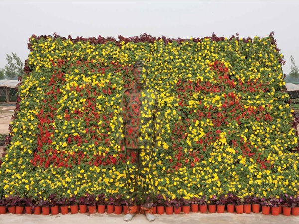  సోషల్ మీడియా వైరల్