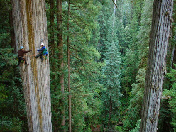 వీళ్లకు ప్రాణలకన్నా సాహసాలే ముఖ్యం