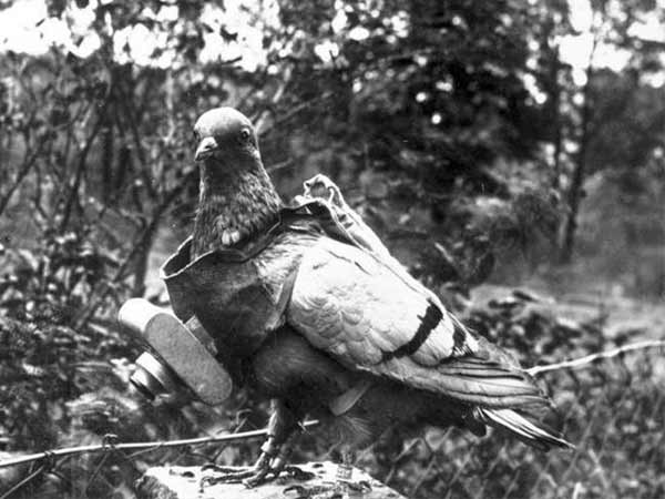 12 అత్యుత్తమ  వింటేజ్ స్పై కెమెరాలు