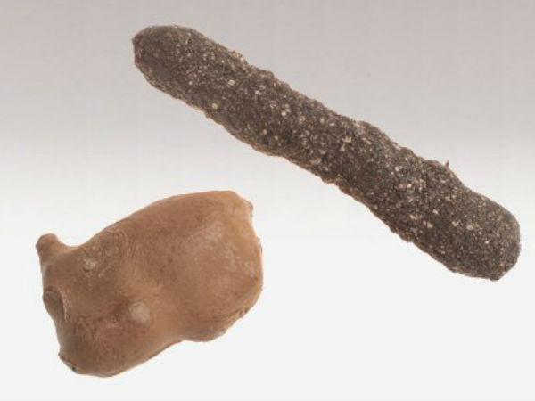  అమెరికా నిఘా సంస్థ వద్ద అంతు చిక్కని నిఘా గాడ్జెట్‌లు?