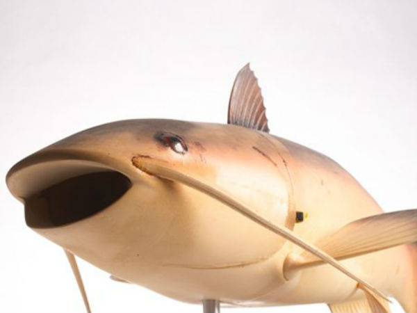  అమెరికా నిఘా సంస్థ వద్ద అంతు చిక్కని నిఘా గాడ్జెట్‌లు?