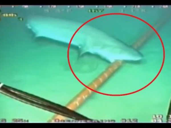 ఈ వైర్లు తెగితే ప్రపంచం అంధకారంలోకే.. 