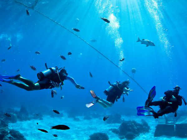 ఈ వైర్లు తెగితే ప్రపంచం అంధకారంలోకే.. 