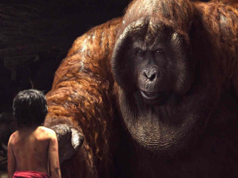 గిజ్‌బాట్ పేజీని లైక్ చేయండి