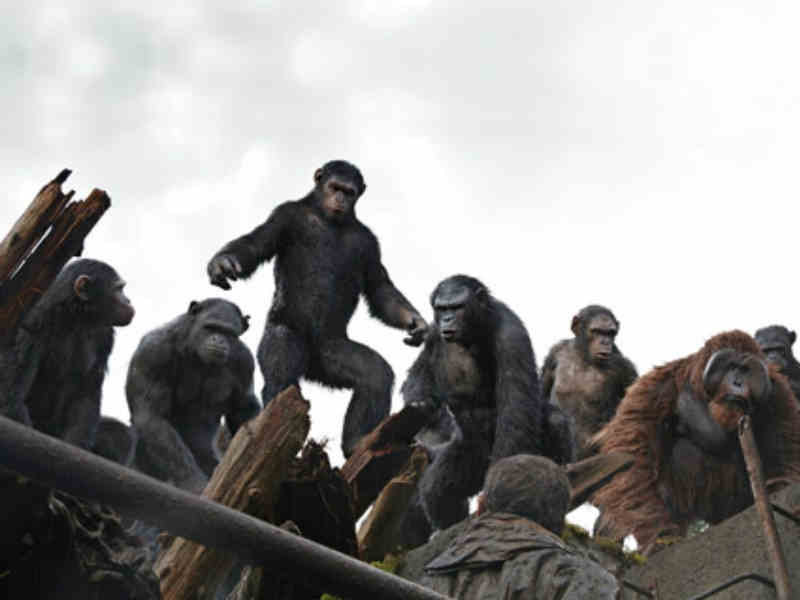 ఫస్ట్ నుంచి చివరిదాకా అంతా గ్రాఫిక్సే !