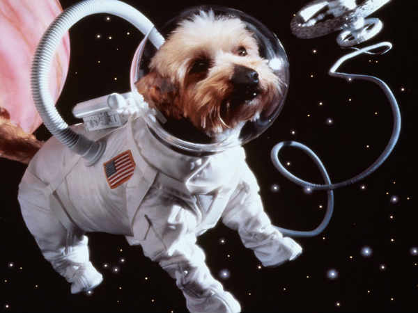 విశ్వంలో మరో 3 గ్రహాల్లో జీవం ఉనికి 