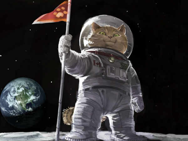 విశ్వంలో మరో 3 గ్రహాల్లో జీవం ఉనికి 