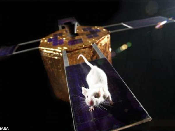 విశ్వంలో మరో 3 గ్రహాల్లో జీవం ఉనికి 