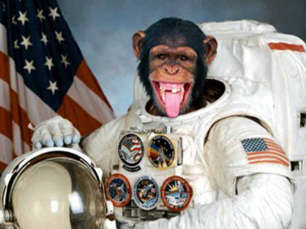 విశ్వంలో మరో 3 గ్రహాల్లో జీవం ఉనికి 