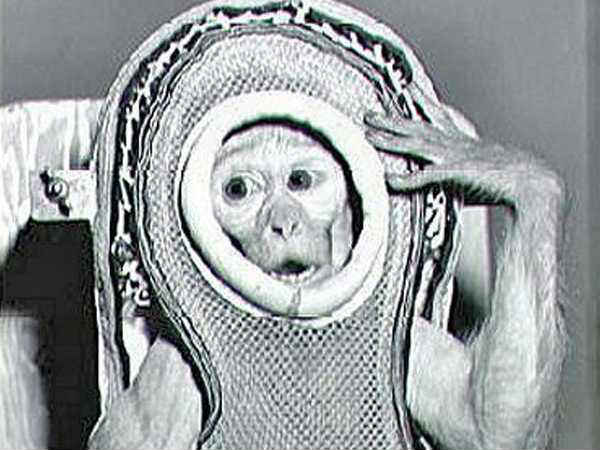 విశ్వంలో మరో 3 గ్రహాల్లో జీవం ఉనికి 