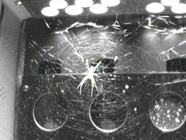 విశ్వంలో మరో 3 గ్రహాల్లో జీవం ఉనికి 