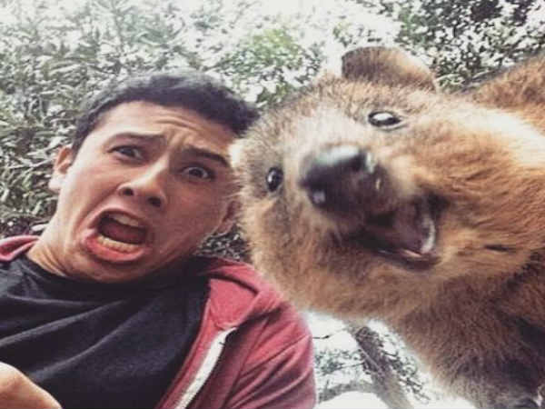  సెల్ఫీ పిచ్చి ప్రాణాలు తీసింది 