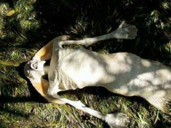  పొంతనలేని వాస్తవాలు ..?