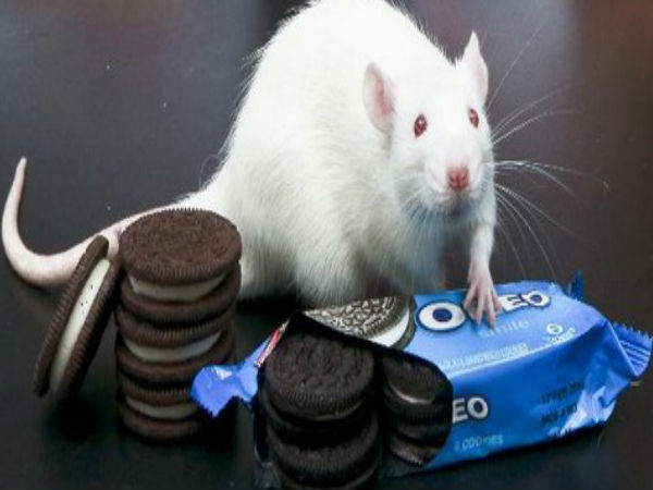  పొంతనలేని వాస్తవాలు ..?