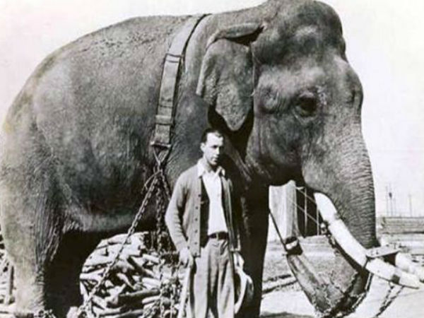 వణికించిన ప్రయోగాలు..?