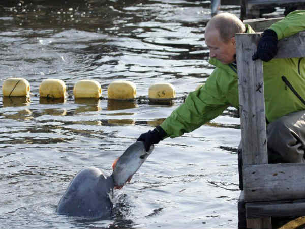 ఇంటర్నెట్లో దుమ్ము రేపుతున్న పుతిన్ 