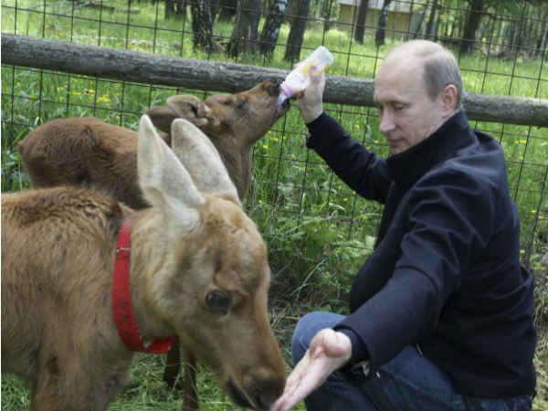 ఇంటర్నెట్లో దుమ్ము రేపుతున్న పుతిన్ 